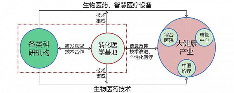 骨科技术的创新之旅:研发引领未来